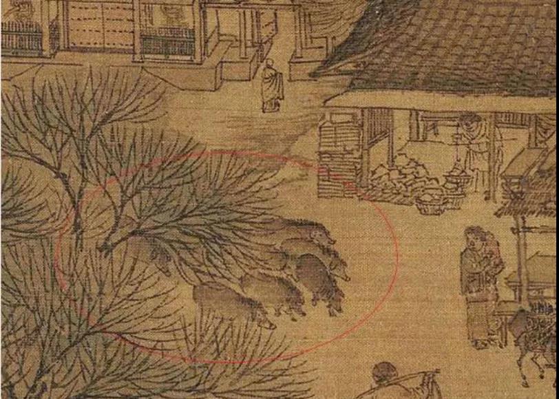 生猪种业的昨天、今天和明天