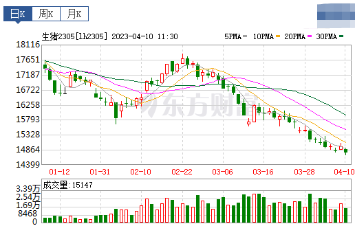 2023.04.10今日猪价