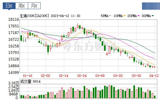 2023.04.12今日猪价