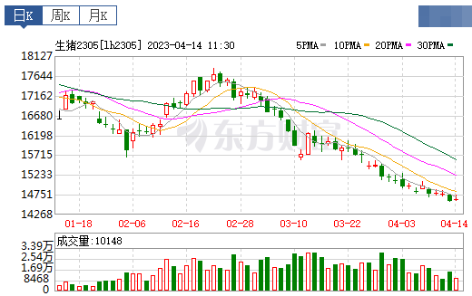 2023.04.14今日猪价