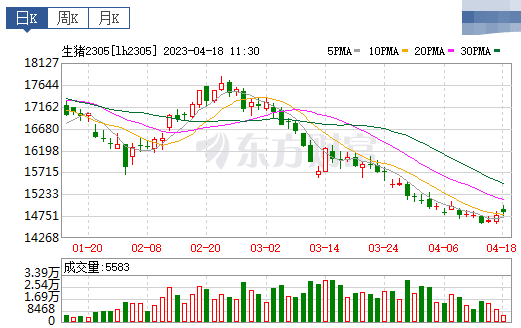 2023.04.18今日猪价