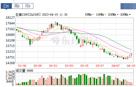 2023.04.19今日猪价