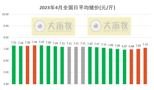 2023.04.20今日猪价