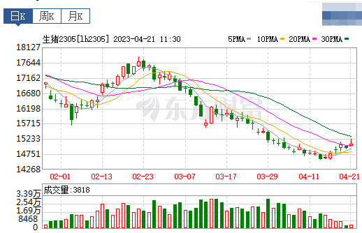 2023.04.21今日猪价