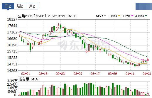 2023.04.22今日猪价