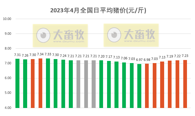 2023.04.23今日猪价