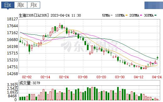 2023.04.24今日猪价
