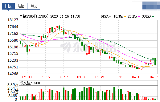 2023.04.25今日猪价