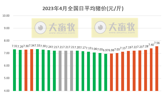 2023.04.26今日猪价