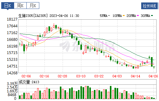 2023.04.26今日猪价
