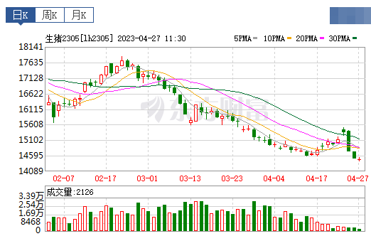 2023.04.27今日猪价