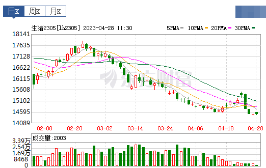 2023.04.28今日猪价