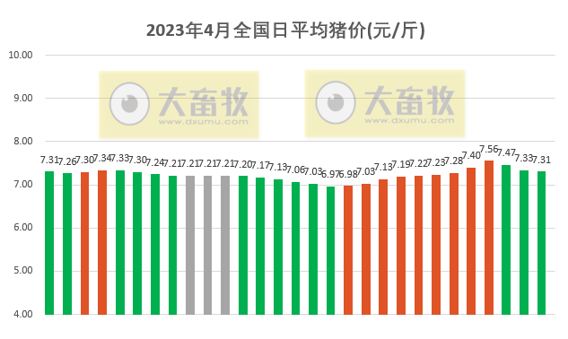 2023.04.29今日猪价