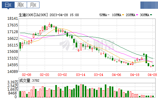 2023.04.29今日猪价