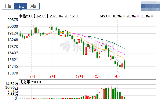 2023.04.30今日猪价
