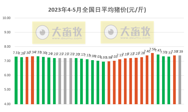 2023.05.01今日猪价