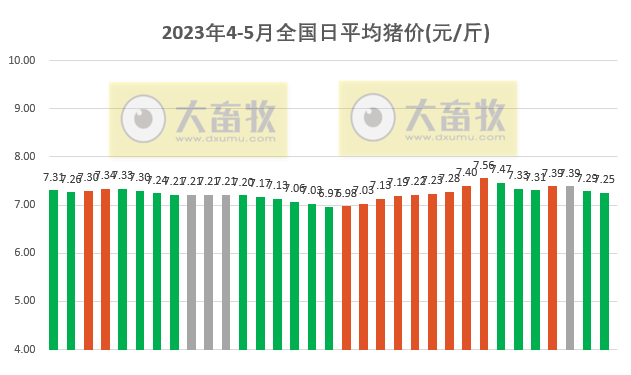 2023.05.03今日猪价