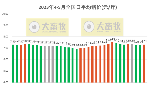 2023.05.04今日猪价
