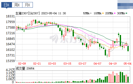2023.05.04今日猪价