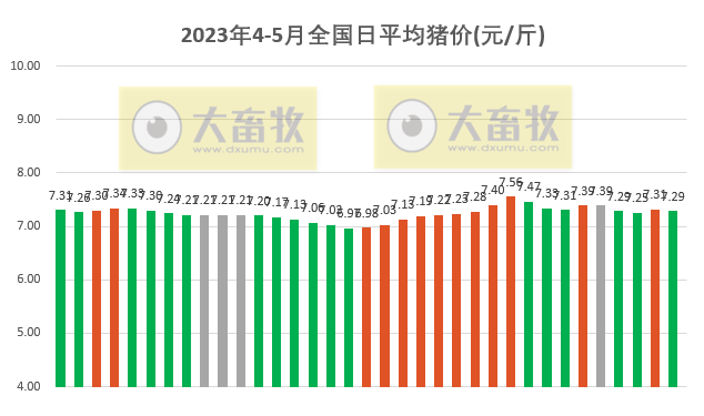 2023.05.05今日猪价