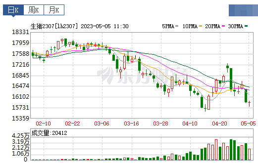 2023.05.05今日猪价