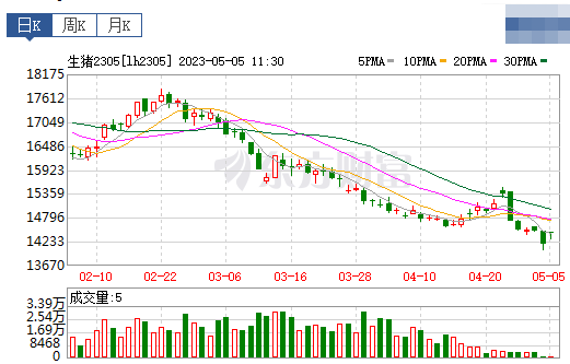 2023.05.05今日猪价