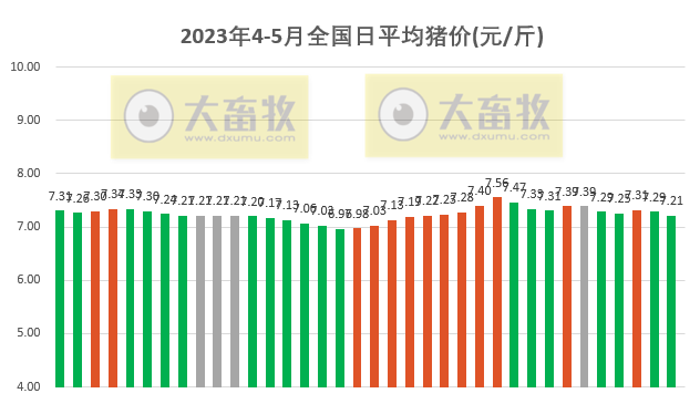 2023.05.06今日猪价