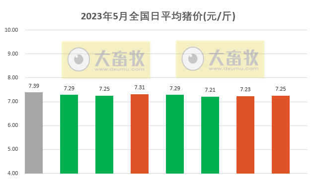 2023.05.08今日猪价