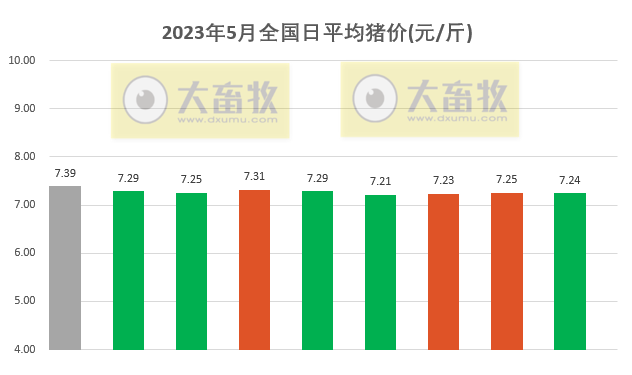 2023.05.09今日猪价
