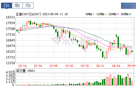 2023.05.09今日猪价