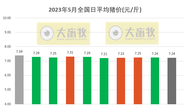 2023.05.10今日猪价