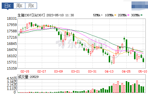 2023.05.10今日猪价