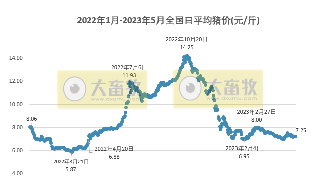 2023.05.11今日猪价