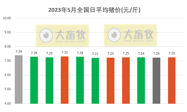 2023.05.11今日猪价