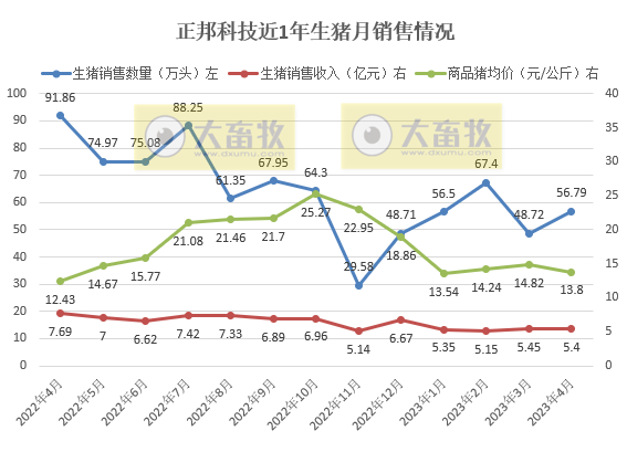 正邦科技:前4个月销售仔猪138万头同增142%,资金紧张但仍保留核心种群,育种指标优秀