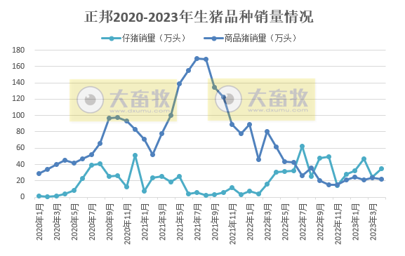 正邦科技:前4个月销售仔猪138万头同增142%,资金紧张但仍保留核心种群,育种指标优秀