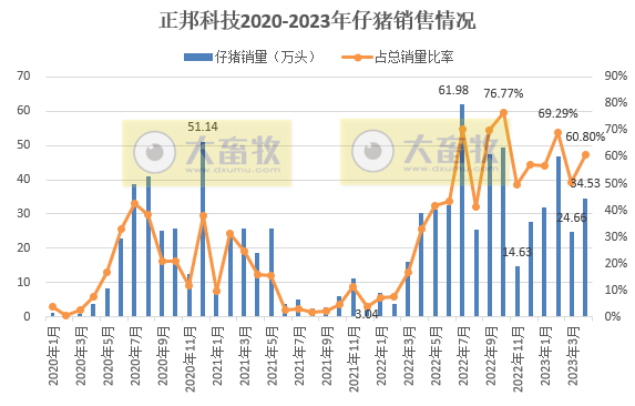 正邦科技:前4个月销售仔猪138万头同增142%,资金紧张但仍保留核心种群,育种指标优秀