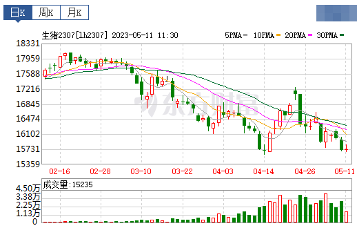 2023.05.11今日猪价