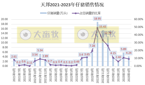 天邦食品:前4个月仔猪销量约17万头同增8倍多,1季度亏损6.6亿元,下调今年生猪出栏目标