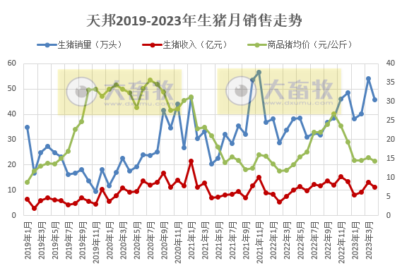 天邦食品:前4个月仔猪销量约17万头同增8倍多,1季度亏损6.6亿元,下调今年生猪出栏目标