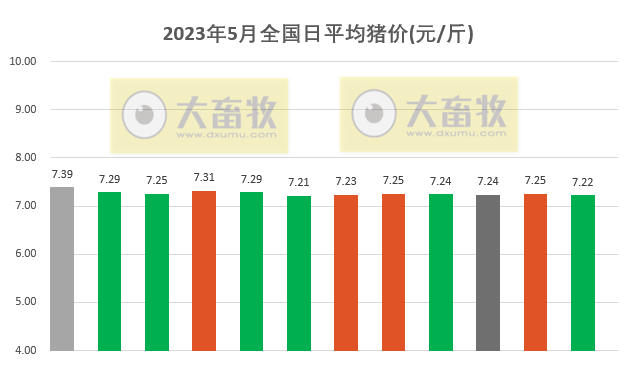2023.05.12今日猪价
