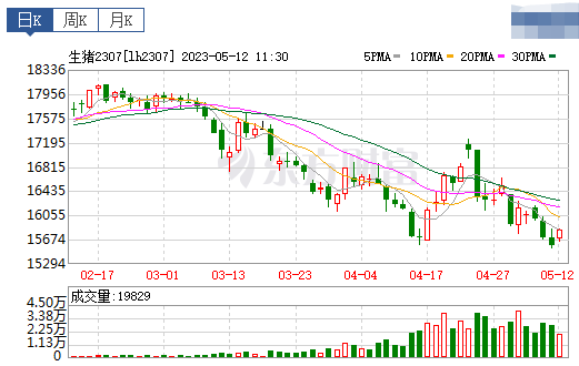 2023.05.12今日猪价