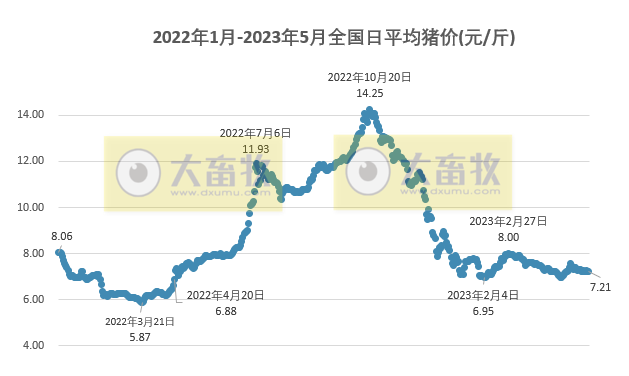 2023.05.13今日猪价