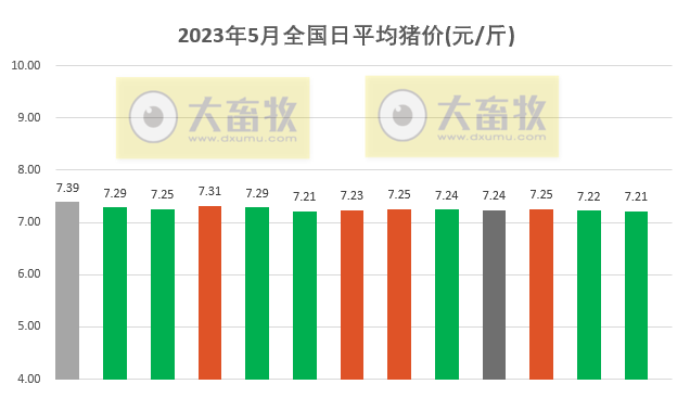 2023.05.13今日猪价