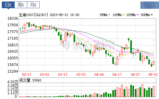 2023.05.13今日猪价