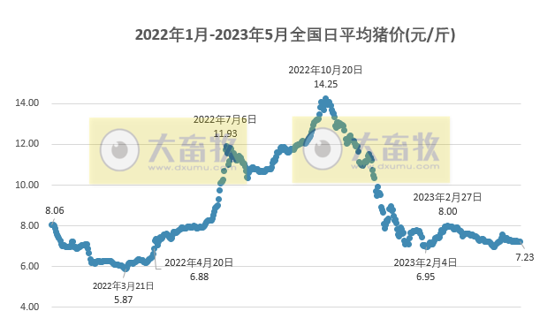 2023.05.15今日猪价