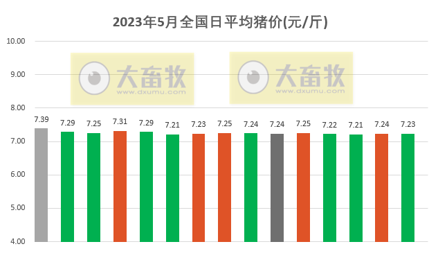 2023.05.15今日猪价