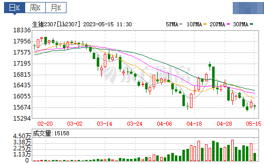 2023.05.15今日猪价