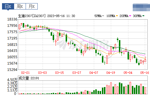 2023.05.16今日猪价