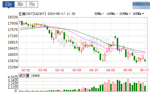 2023.05.17今日猪价